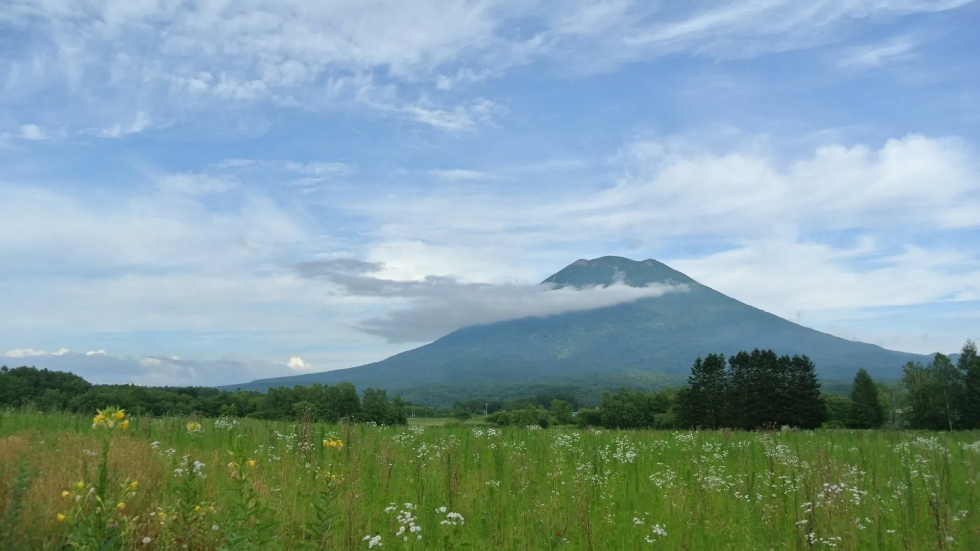 新雪谷乡村度假村 倶知安町 0*,  日本